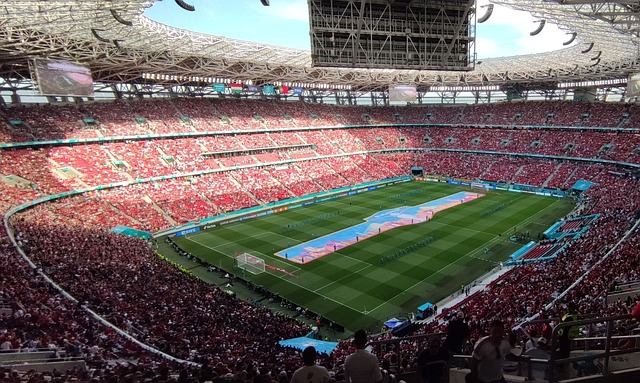 进行传导 进行传导