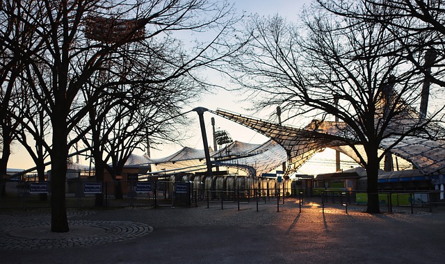 国在全球经 国在全球经