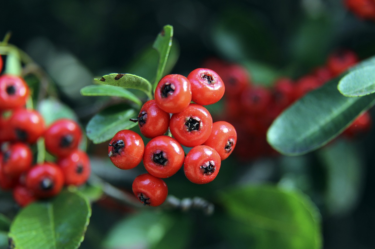 在哈尔滨 在哈尔滨