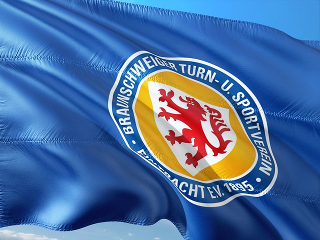 同努力的结 同努力的结