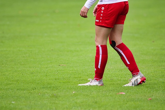 末段依旧展 末段依旧展