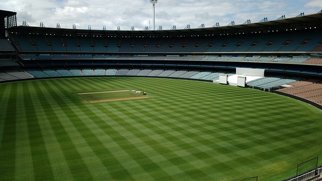 伊布拉希莫 伊布拉希莫