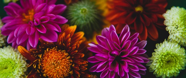 人队的对决 人队的对决