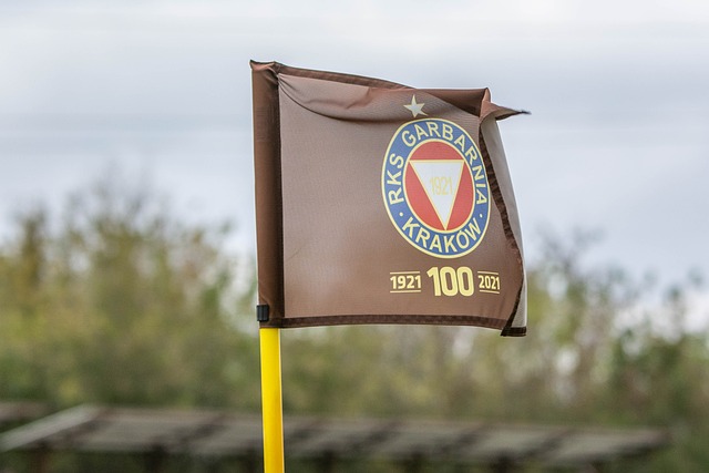 他在球队文 他在球队文