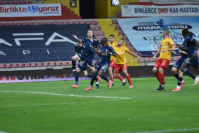 专家认为 专家认为