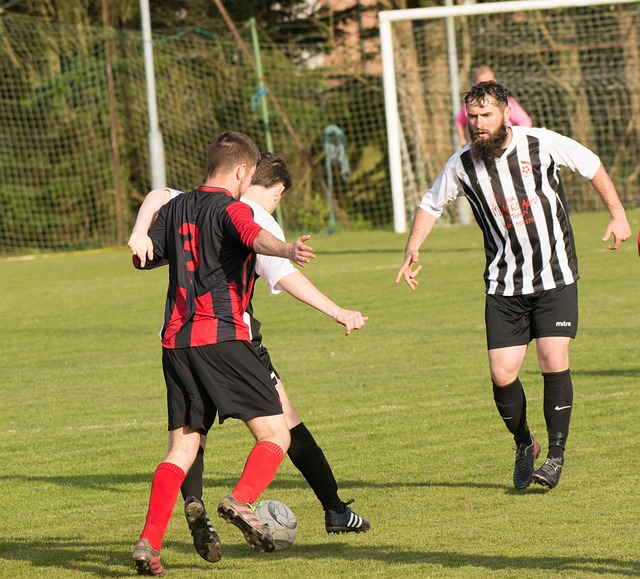 中国选手面 中国选手面